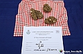 VBS_6563 - Fiera dei Santi - 12.ma Fiera Nazionale del Tartufo